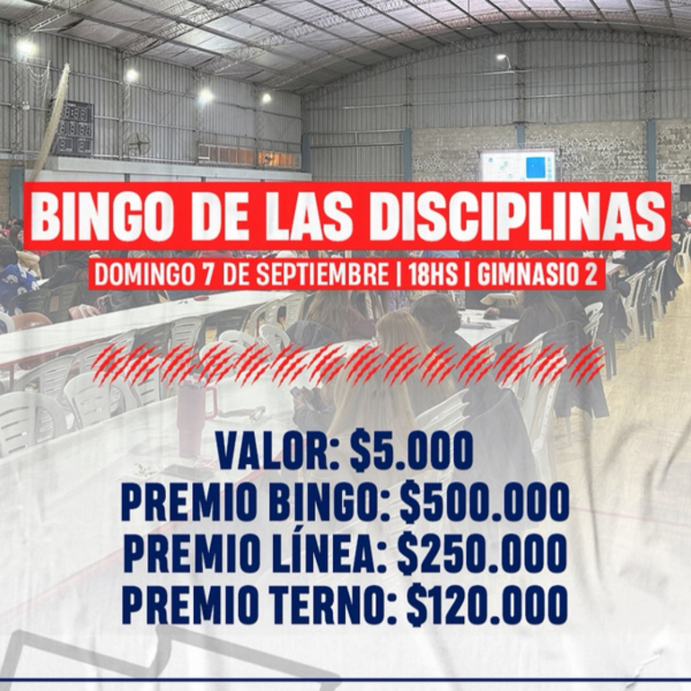 Imagen de Nuevo Bingo de las Disciplinas en Talleres
