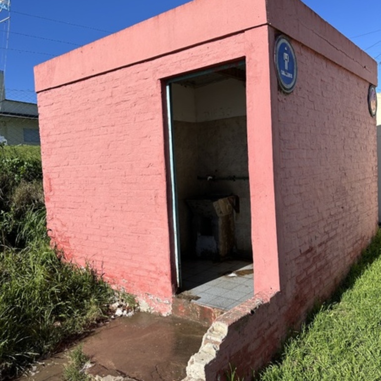 Imagen de Limpiaron los baños del puerto local