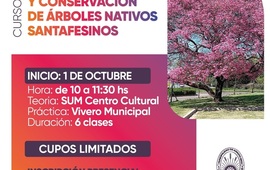Imagen de Abren inscripciones para un curso sobre &aacute;rboles nativos