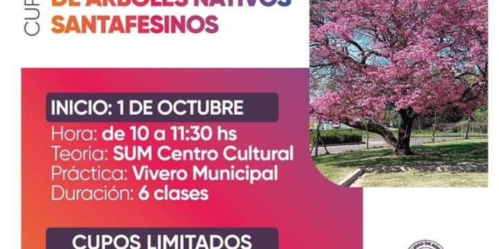 Imagen de Abren inscripciones para un curso sobre árboles nativos