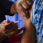 Imagen de Comienza la campaña de vacunación contra la Fiebre Hemorrágica Argentina en Alvear