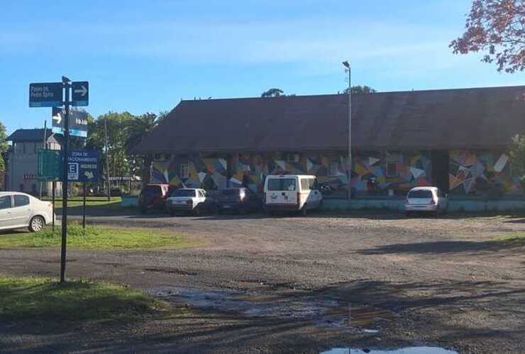 Imagen de Por la cantidad de ratones, trasladan Acción Social al Punto Violeta