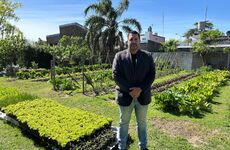Imagen de Irregularidades en el canal Savoca