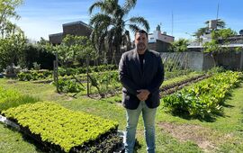 Imagen de Irregularidades en el canal Savoca