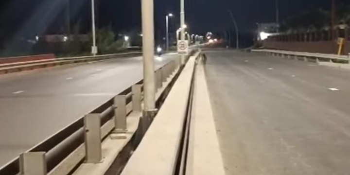 Imagen de Quedó habilitado el segundo puente sobre el arroyo Seco