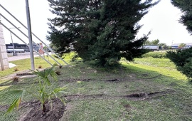 Imagen de Vehículo circulo indebidamente por sector floral en el ingreso a la ciudad