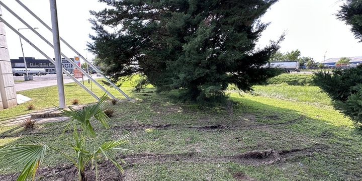 Imagen de Vehículo circulo indebidamente por sector floral en el ingreso a la ciudad