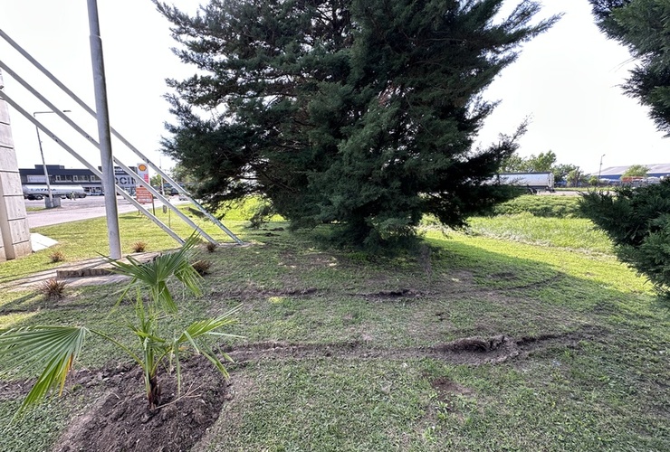 Imagen de Vehículo circulo indebidamente por sector floral en el ingreso a la ciudad