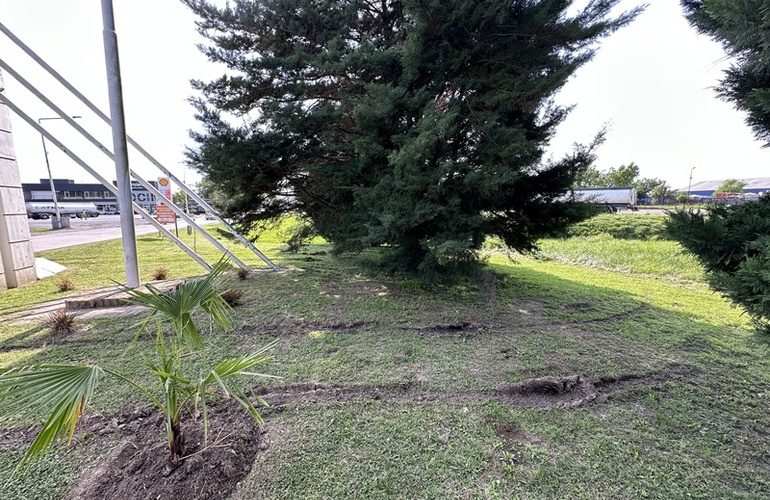 Imagen de Veh&iacute;culo circulo indebidamente por sector floral en el ingreso a la ciudad