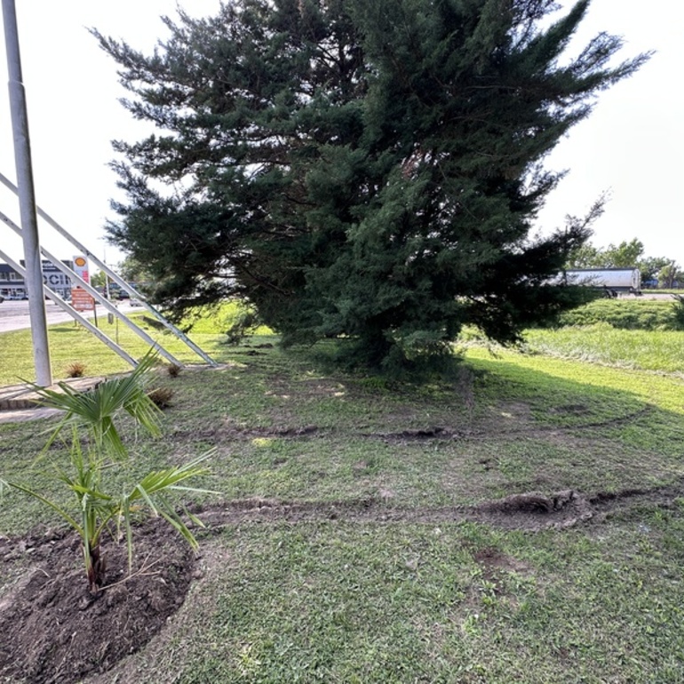 Imagen de Vehículo circulo indebidamente por sector floral en el ingreso a la ciudad
