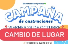 Imagen de Cambio de lugar en la campaña de castraciones y vacunación antirrábica