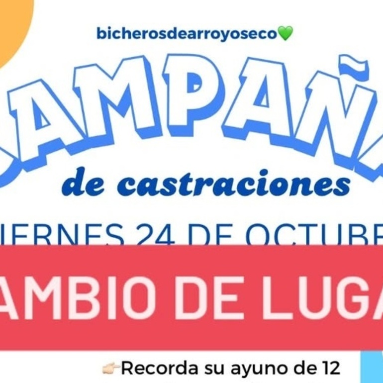 Imagen de Cambio de lugar en la campaña de castraciones y vacunación antirrábica