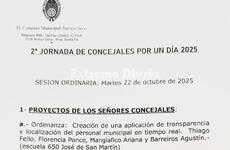 Imagen de Concejal por un Día: alumnos de Arroyo Seco presentan sus proyectos en el Concejo Municipal