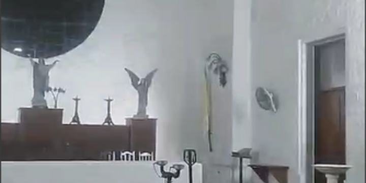 Imagen de Erradicación avanzada de murciélagos en la Parroquia "La Asunción"