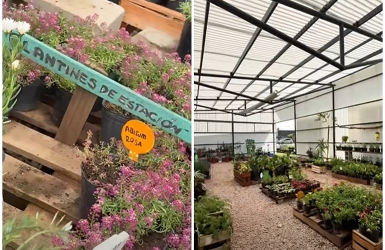 Imagen de Vivero Comunal Manos Verdes: un espacio que crece junto a la comunidad de Pavón