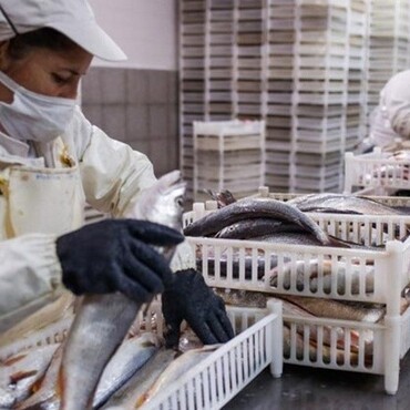 La limitación es solo para la exportación de pescados. (Revistapuerto)