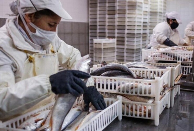 La limitación es solo para la exportación de pescados. (Revistapuerto)