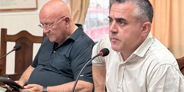 Imagen de Proyecto de ordenanza para regular cuidadores y paseadores de perros genera críticas en Arroyo Seco