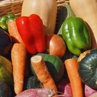 Imagen de ExpHortAr 2025: innovación, tecnología y articulación para fortalecer la horticultura argentina Imagen de ExpHortAr 2025: innovación, tecnología y articulación para fortalecer la horticultura argentina