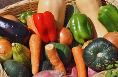 Imagen de ExpHortAr 2025: innovación, tecnología y articulación para fortalecer la horticultura argentina