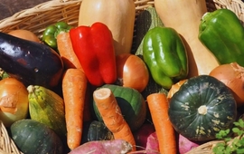 Imagen de ExpHortAr 2025: innovaci&oacute;n, tecnolog&iacute;a y articulaci&oacute;n para fortalecer la horticultura argentina