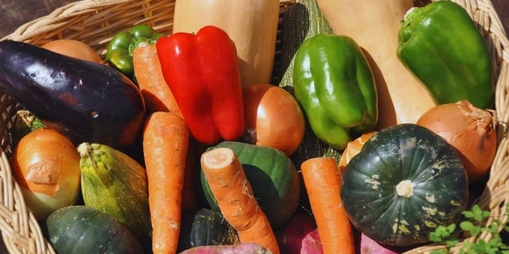 Imagen de ExpHortAr 2025: innovación, tecnología y articulación para fortalecer la horticultura argentina