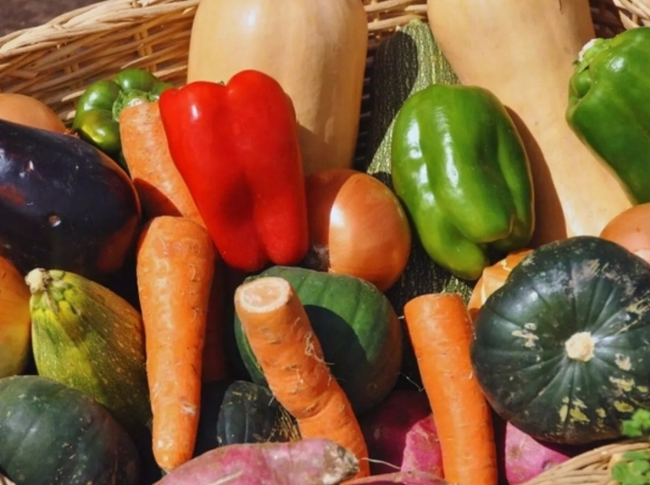 Imagen de ExpHortAr 2025: innovación, tecnología y articulación para fortalecer la horticultura argentina