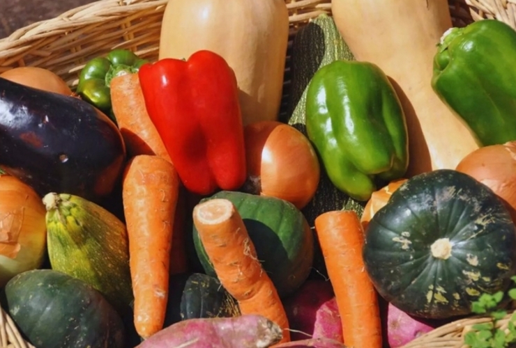 Imagen de ExpHortAr 2025: innovación, tecnología y articulación para fortalecer la horticultura argentina