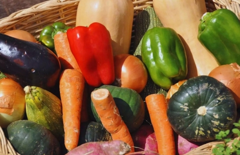 Imagen de ExpHortAr 2025: innovación, tecnología y articulación para fortalecer la horticultura argentina