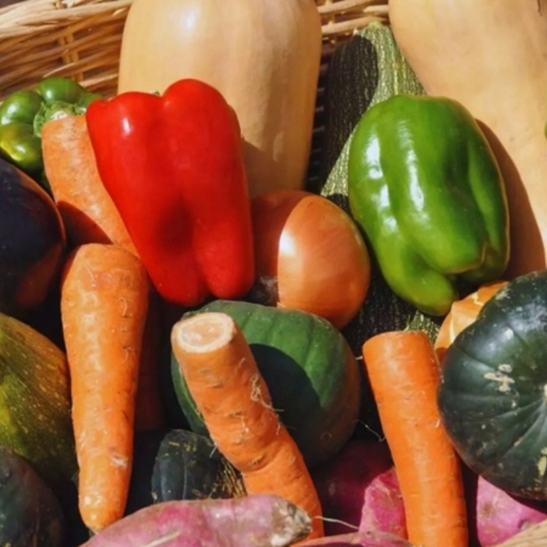 Imagen de ExpHortAr 2025: innovación, tecnología y articulación para fortalecer la horticultura argentina