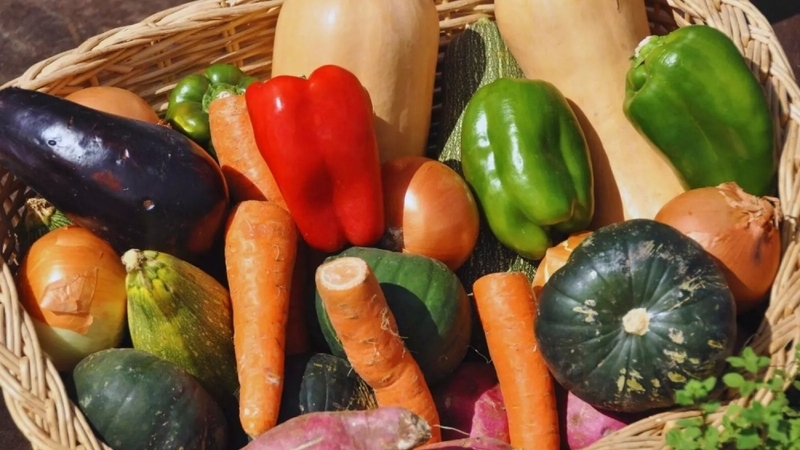 Imagen de ExpHortAr 2025: innovaci&oacute;n, tecnolog&iacute;a y articulaci&oacute;n para fortalecer la horticultura argentina
