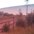 La foto que llegó este martes junto al reclamo. La foto que llegó este martes junto al reclamo.