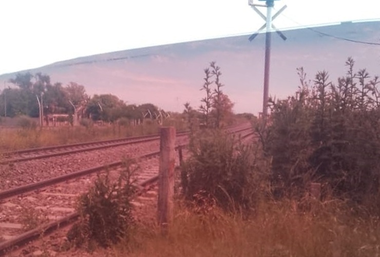 La foto que llegó este martes junto al reclamo.