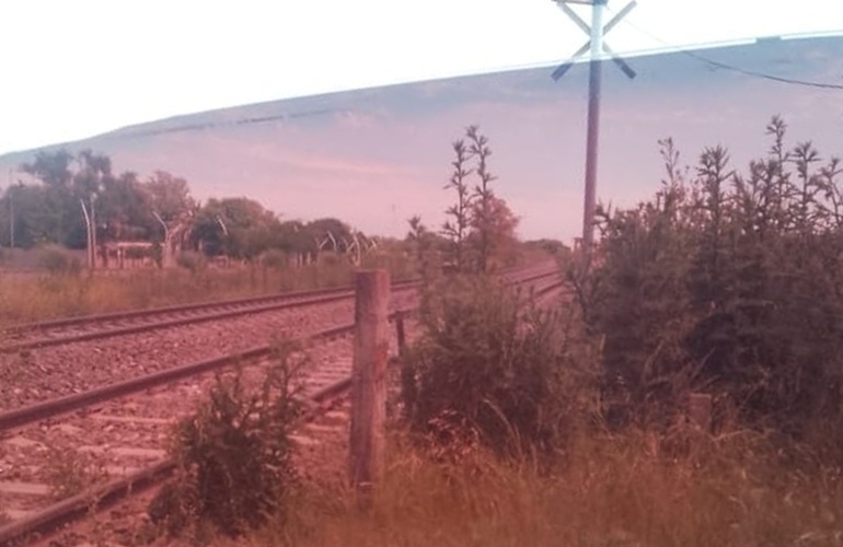 La foto que llegó este martes junto al reclamo.