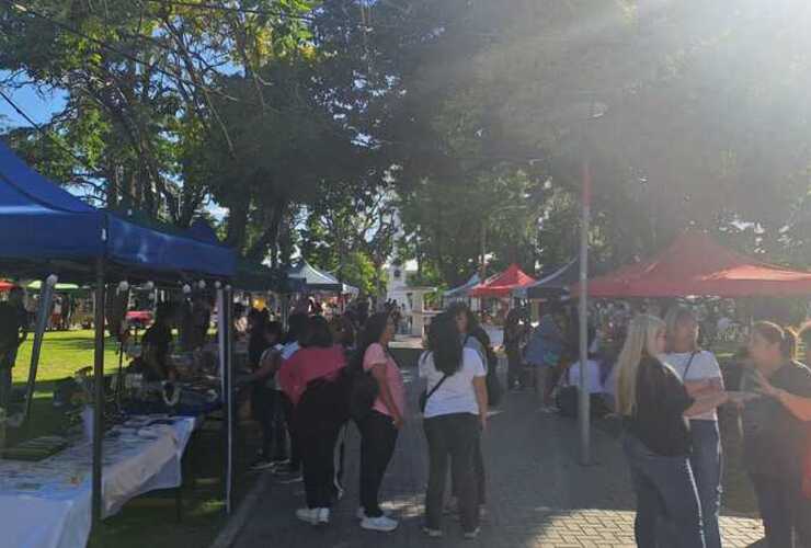 Imagen de Damián Salinas cuestiona la decisión del Ejecutivo de cobrar a feriantes