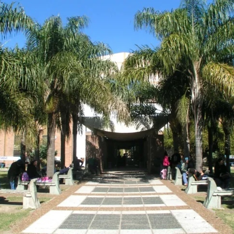 Imagen de Una nena de ocho años fue atacada por una perra pitbull en el norte de Santa Fe