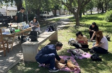 Imagen de Jornada de castración y vacunación en barrio Guemes