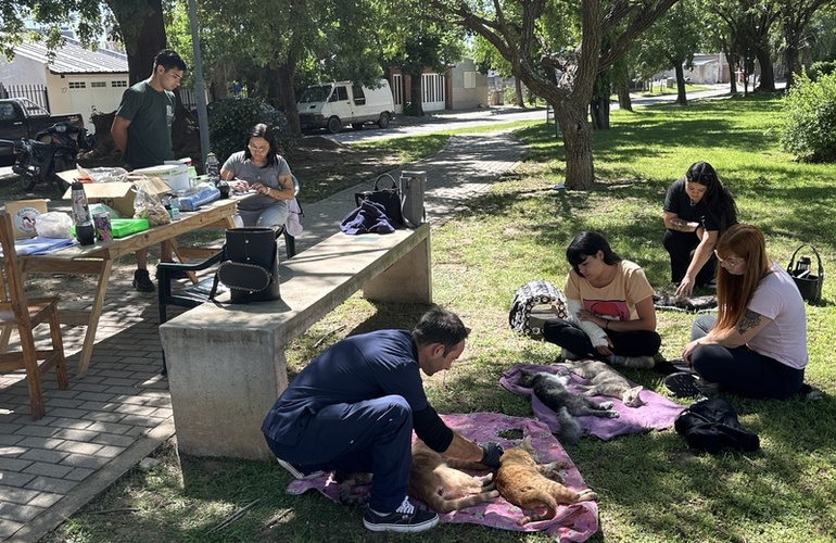 Imagen de Jornada de castración y vacunación en barrio Guemes