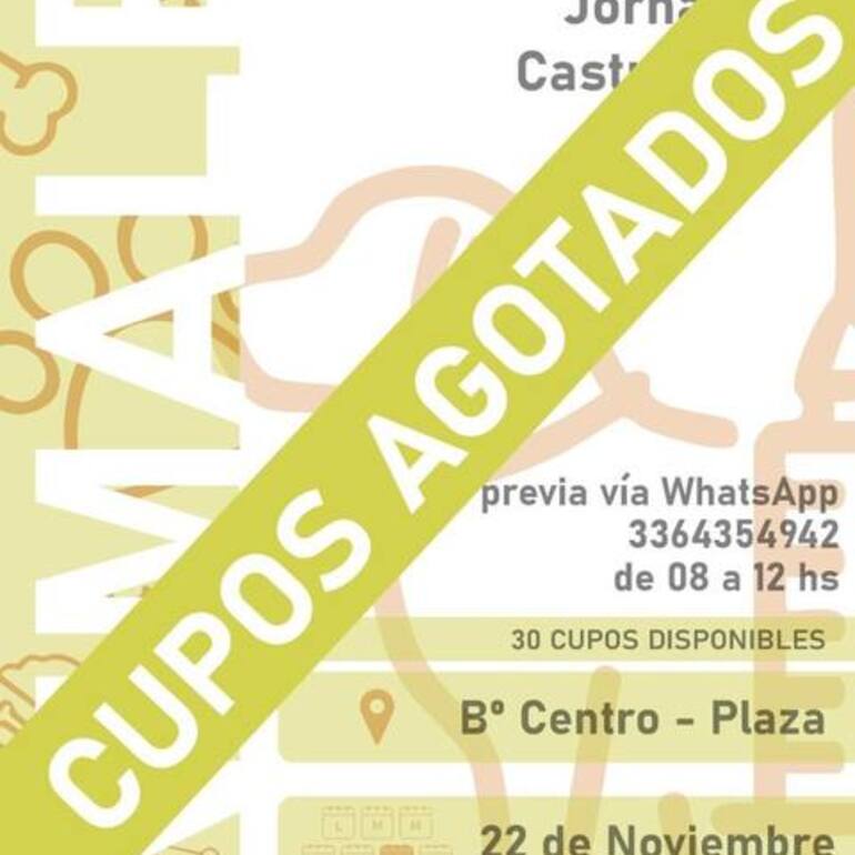 Imagen de Castraciones en Pavón: cupos agotados