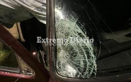 Imagen de Segundo hecho grave con toros sueltos: un matrimonio de General Lagos choc&oacute; al animal en Ruta 21