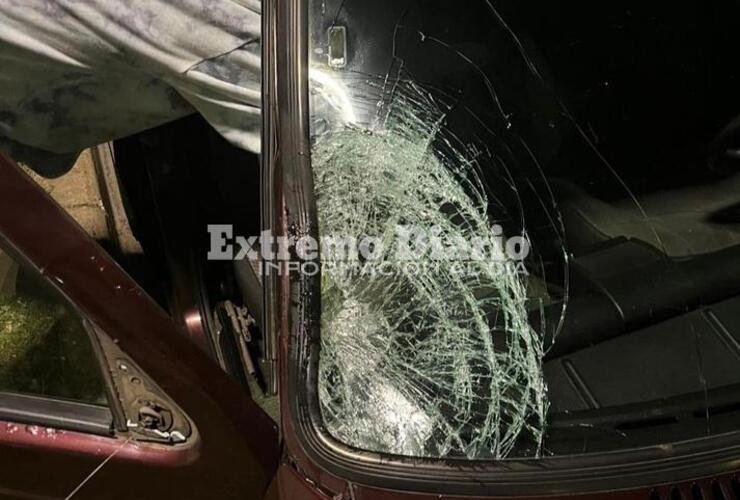 Imagen de Segundo hecho grave con toros sueltos: un matrimonio de General Lagos chocó al animal en Ruta 21