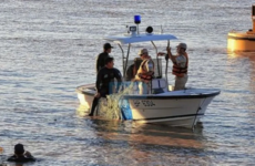 Imagen de Continúa la intensa búsqueda del policía que cayó al río Parana tras un choque de embarcaciones