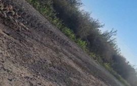 Foto: captura de pantalla video