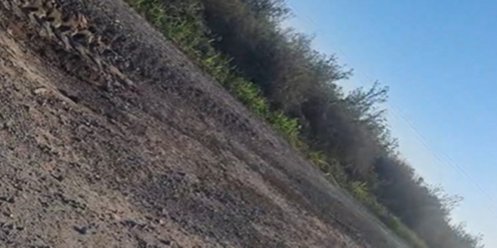 Foto: captura de pantalla video