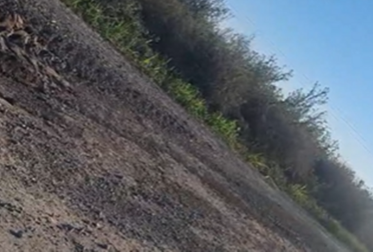 Foto: captura de pantalla video