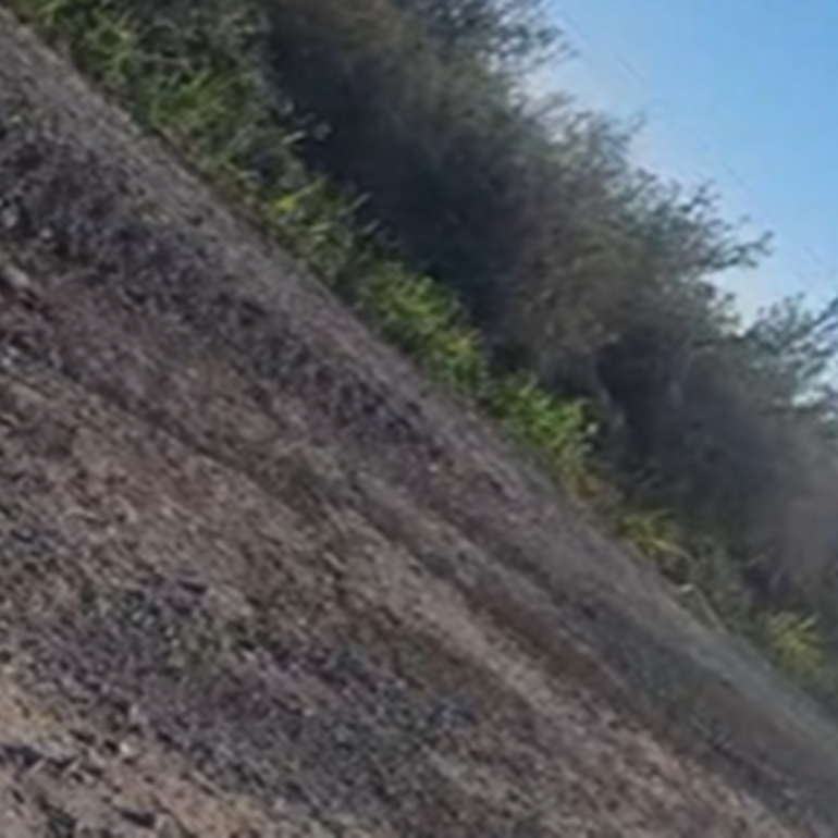 Foto: captura de pantalla video