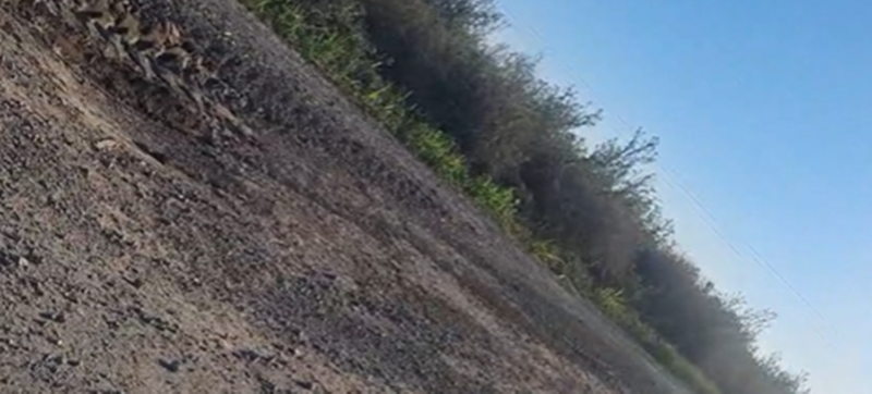 Foto: captura de pantalla video