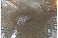 Foto: captura de pantalla video