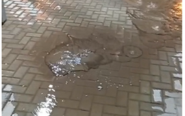 Foto: captura de pantalla video