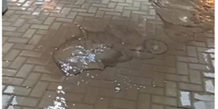 Foto: captura de pantalla video